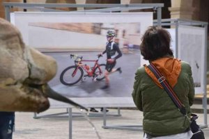 C´s critica la "arbitrariedad" del PSOE con el uso de espacios públicos C´s critica la "arbitrariedad" del PSOE con el uso de espacios públicos