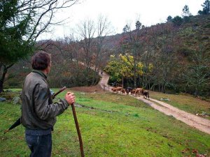 Soria acoge el III Foro Cultura y Ruralidades Soria acoge el III Foro Cultura y Ruralidades
