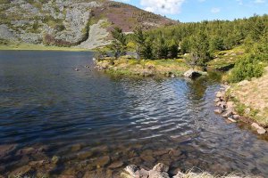 La Laguna de Cebollera, un paraje natural a su alcance La Laguna de Cebollera, un paraje natural a su alcance