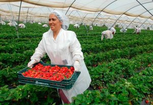 La mujer representa el 54 por ciento de emprendimiento en medio rural La mujer representa el 54 por ciento de emprendimiento en medio rural