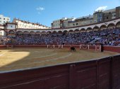 Soria duplica el número de abonados para la feria taurina Soria duplica el número de abonados para la feria taurina