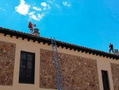 Retirado un nuevo enjambre de abejas en Soria Retirado un nuevo enjambre de abejas en Soria