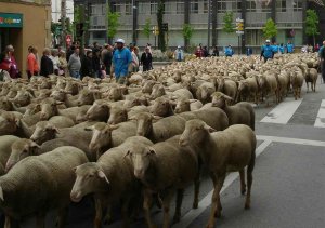 Tierras Altas ofrece la oportunidad de ser trashumante Tierras Altas ofrece la oportunidad de ser trashumante
