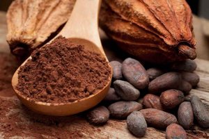 El doctor Estruch recomienda el cacao como complemento a dieta mediterránea El doctor Estruch recomienda el cacao como complemento a dieta mediterránea