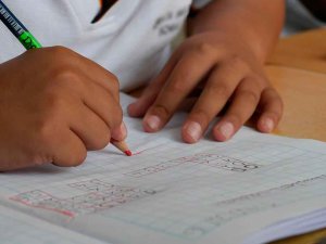 El 97 por ciento de familias obtiene el centro elegido como primera opción El 97 por ciento de familias obtiene el centro elegido como primera opción