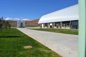 Resinera Soriana realizará tratamientos silvícolas en comarca adnamantina Resinera Soriana realizará tratamientos silvícolas en comarca adnamantina