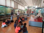 La Junta organiza 22 talleres de verano en el Museo Numantino La Junta organiza 22 talleres de verano en el Museo Numantino