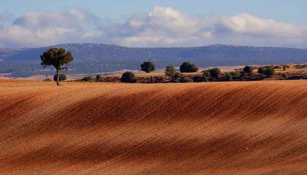 Toma de posesión de la zona de concentración parcelaria Zayuelas II Toma de posesión de la zona de concentración parcelaria Zayuelas II