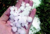 Agroseguro estima daños en 100.000 hectáreas por pedrisco Agroseguro estima daños en 100.000 hectáreas por pedrisco