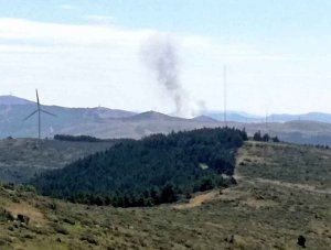 Un incendio en Noviercas calcina diez hectáreas de cereal Un incendio en Noviercas calcina diez hectáreas de cereal
