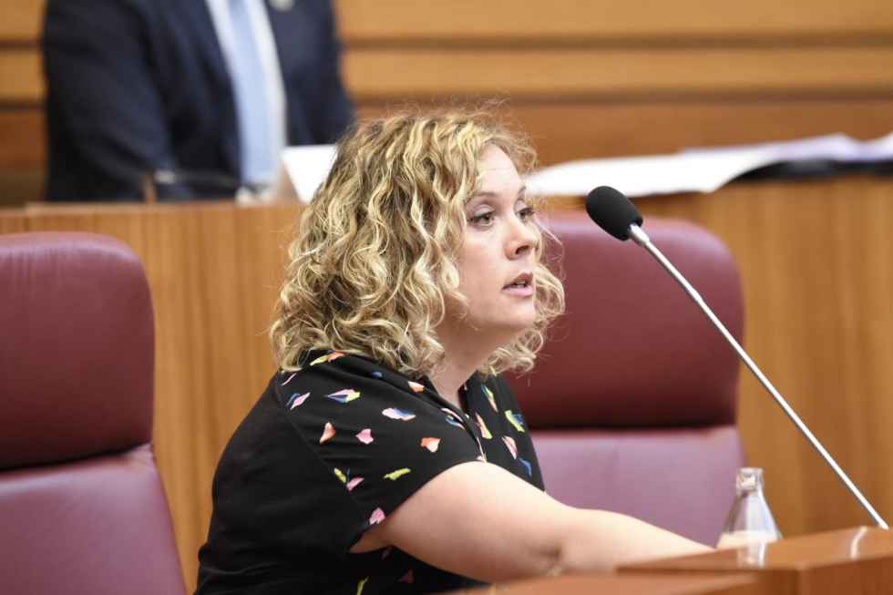 Villar pide a consejera de Educación que "pise menos moqueta" Villar pide a consejera de Educación que "pise menos moqueta"