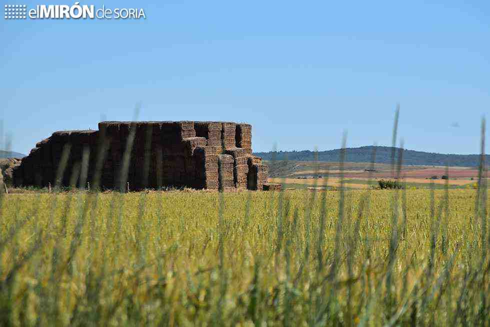 Casi 1,5 millones para ayudas a infraestructuras en superficies pastables Casi 1,5 millones para ayudas a infraestructuras en superficies pastables
