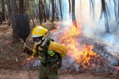 Doce conatos y un incendio forestal, en seis meses Doce conatos y un incendio forestal, en seis meses
