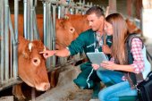 Los veterinarios, en grupo de expertos para reformar Sanidad Los veterinarios, en grupo de expertos para reformar Sanidad