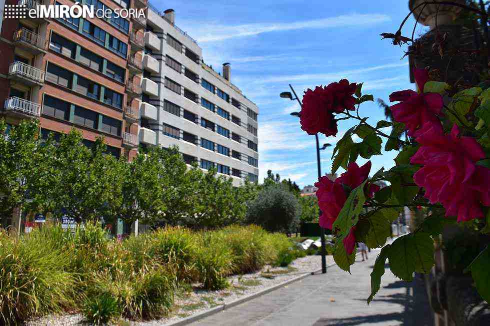 Covid 19: 52 nuevos casos registrados en Soria Covid 19: 52 nuevos casos registrados en Soria