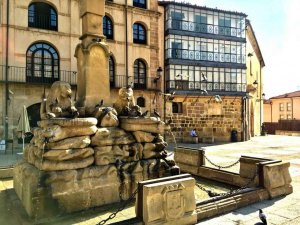 El PP pide medidas para reducir población de palomas El PP pide medidas para reducir población de palomas