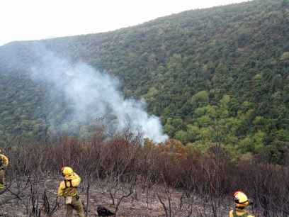 Urgen mejor gestión de bosques para prevenir incendios Urgen mejor gestión de bosques para prevenir incendios