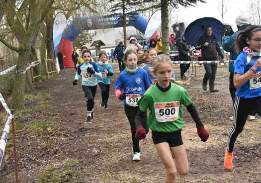 Cross de San Esteban de Gormaz: Campeonato provincial escolar (I)