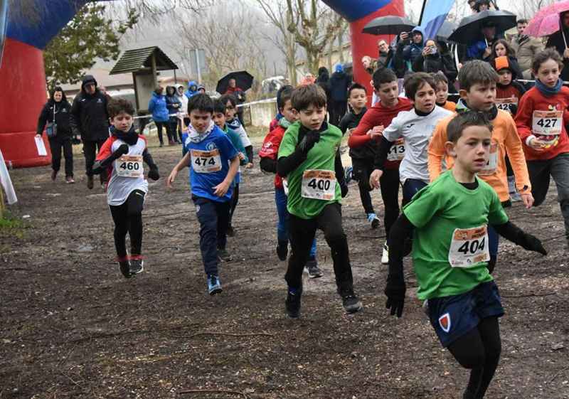 Cross de San Esteban de Gormaz: Campeonato provincial escolar (y II)