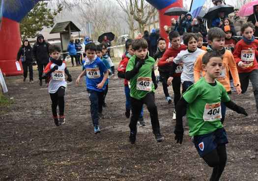 Cross de San Esteban de Gormaz: Campeonato provincial escolar (y II)