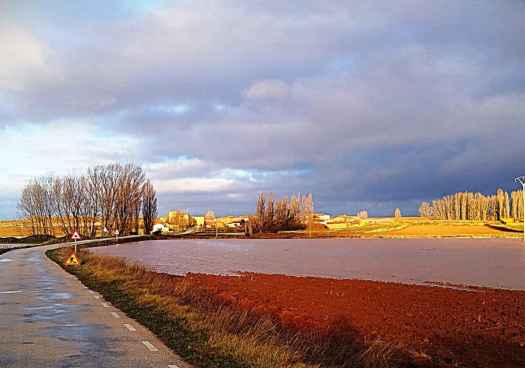 El río Rituerto se desborda en el campo de Gómara, en Paredesroyas