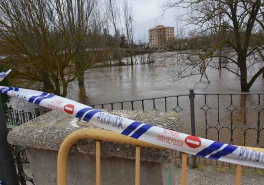 La crecida del Duero inunda el parque de La Arboleda, en Almazán