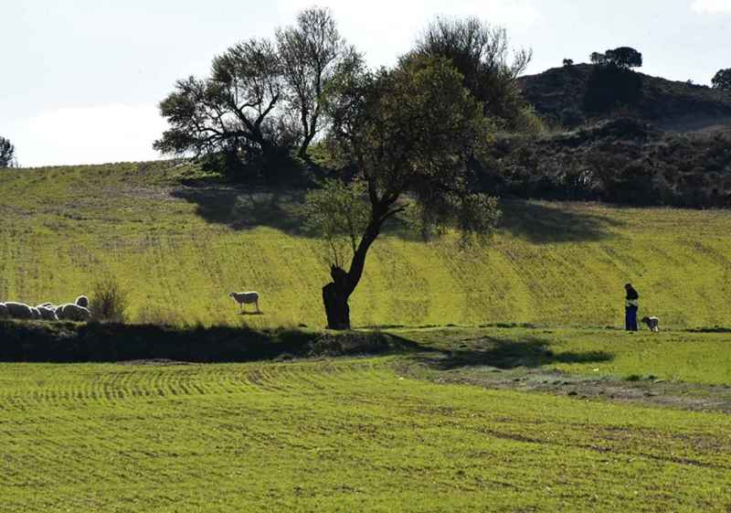 La primavera se adentra en la ribera soriana del Duero