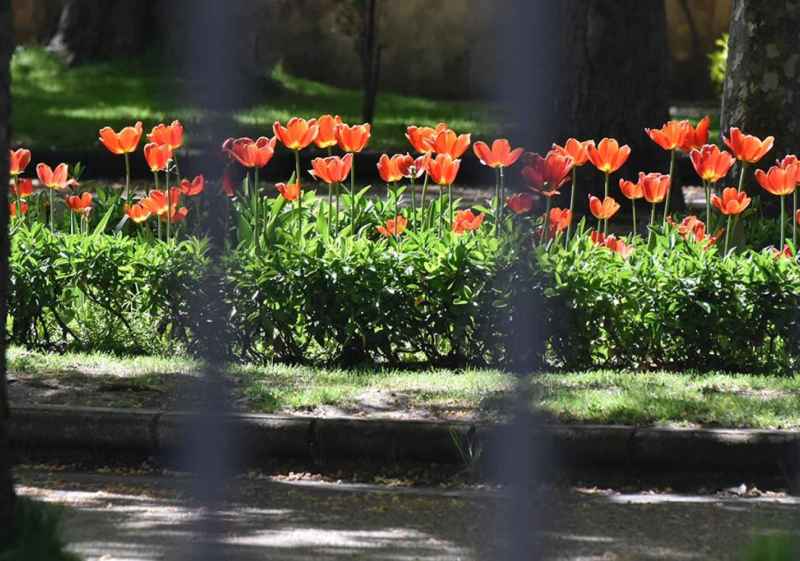Estampas de la ciudad de Soria en primavera