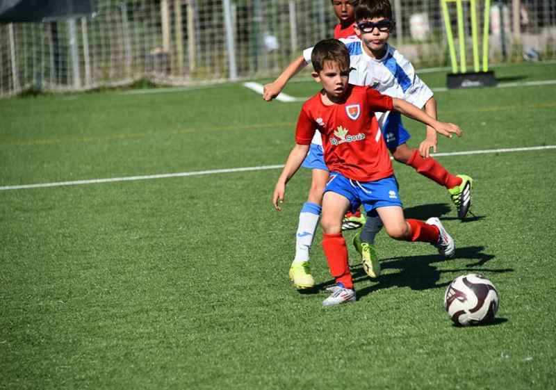 Ocho equpos en el torneo prebenjamín de futbol en el campo de Camaretas