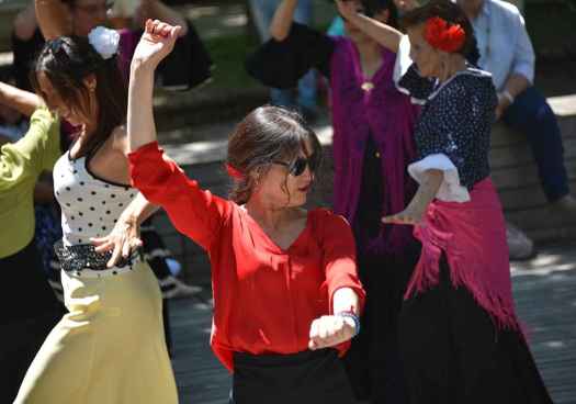 La Asociacion Andaluza en Soria celebra la Cruz de Mayo