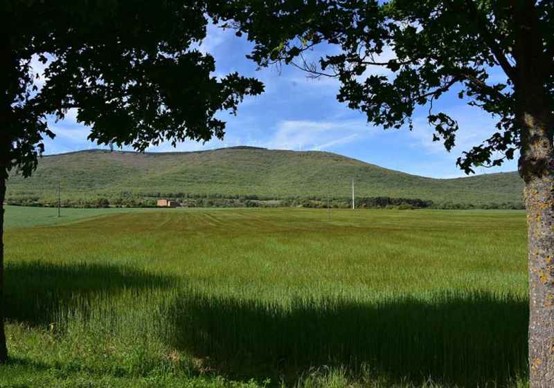 Por el camino verde, en Ólvega, que conduce a ermita de la Virgen de Olmacedo