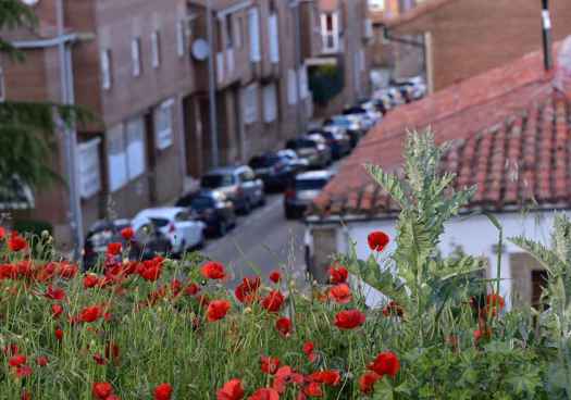 Callejeando por la ciudad de Soria
