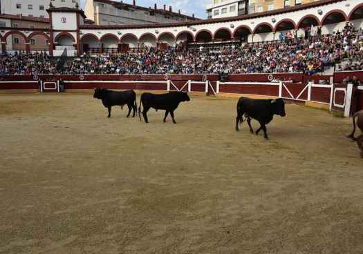 Los novillos del Viernes de Toros llegan al coso de San Benito, de Soria