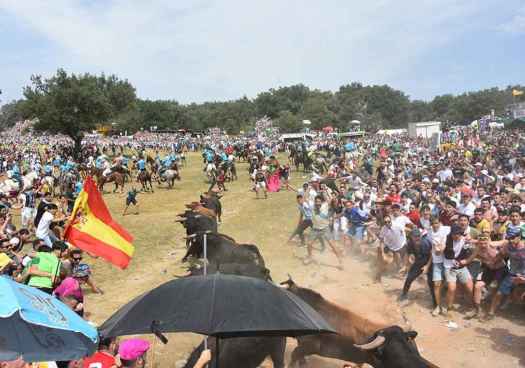 Salida de La Saca de las fiestas de San Juan 2026, en Soria
