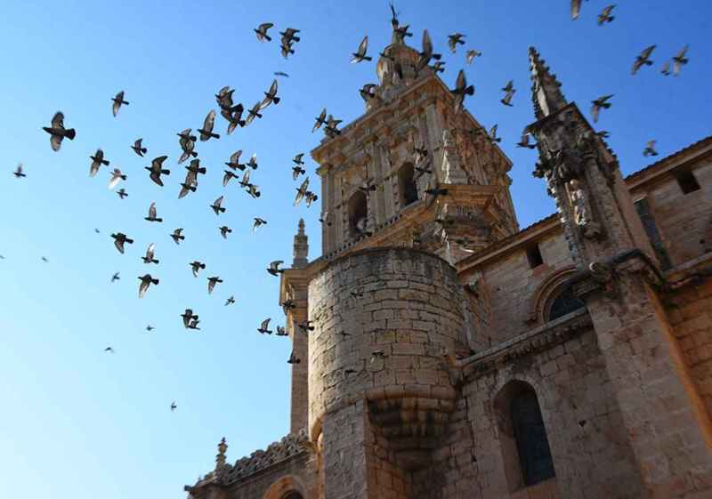 El verano se adentra en El Burgo de Osma